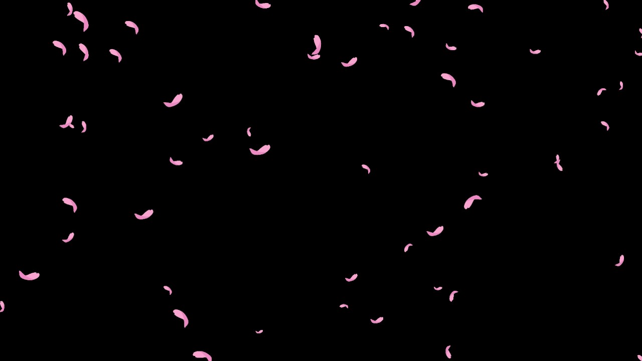 桜散る小道 | ｜正光画廊